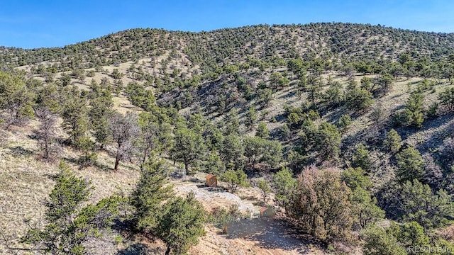 10405 W Cherokee Dr, Salida, CO 81201 - view of mountain backdrop