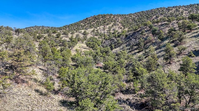 10405 W Cherokee Dr, Salida, CO 81201 - mountain view