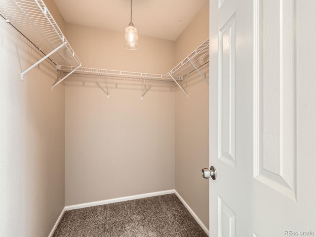5888 Biscay St Unit D, Denver, CO 80249 - spacious closet with carpet flooring