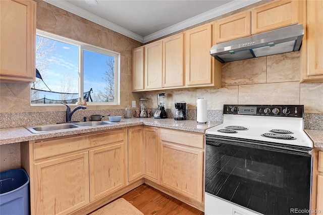 kitchen featuring sink, crown molding, range with electric cooktop, and light brown cabinets