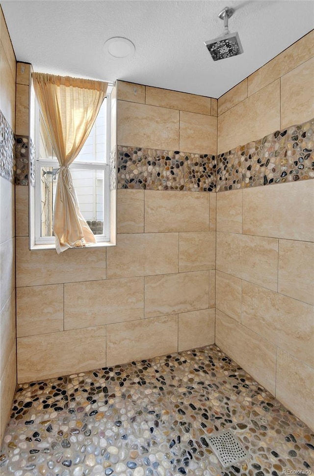 21455 E 44th Ave, Denver, CO 80249 - bathroom featuring tiled shower
