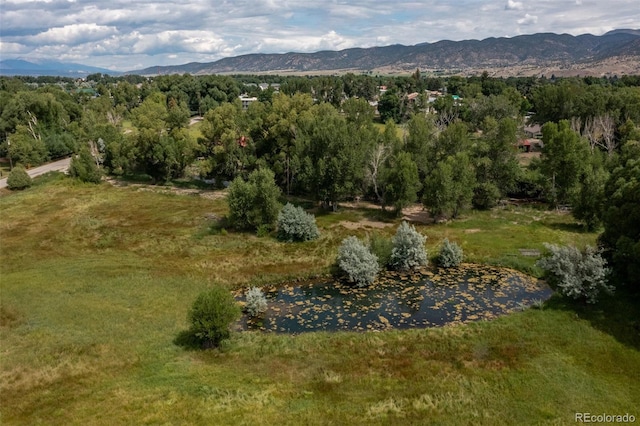 7080 County Road 110, Salida, CO 81201 - photo 13