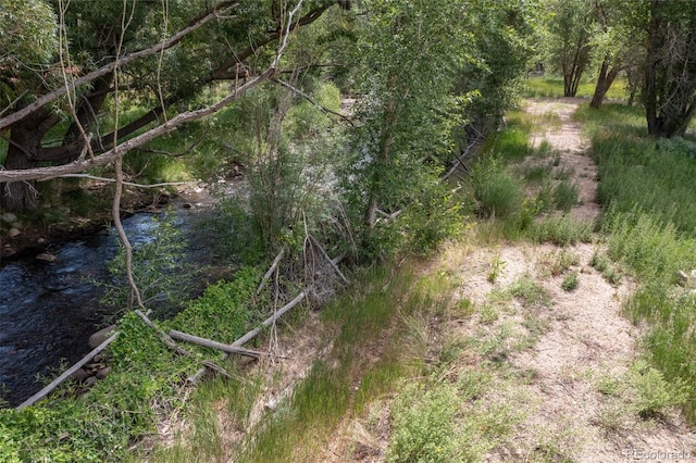 7080 County Road 110, Salida, CO 81201 - photo 17