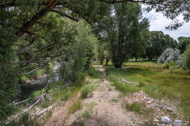 7080 County Road 110, Salida, CO 81201 - photo 18