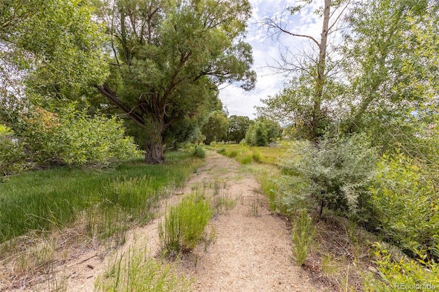 7080 County Road 110, Salida, CO 81201 - photo 19