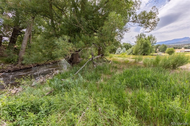 7080 County Road 110, Salida, CO 81201 - photo 21