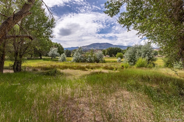 7080 County Road 110, Salida, CO 81201 - photo 23