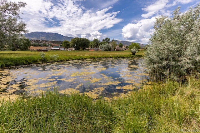 7080 County Road 110, Salida, CO 81201 - photo 27