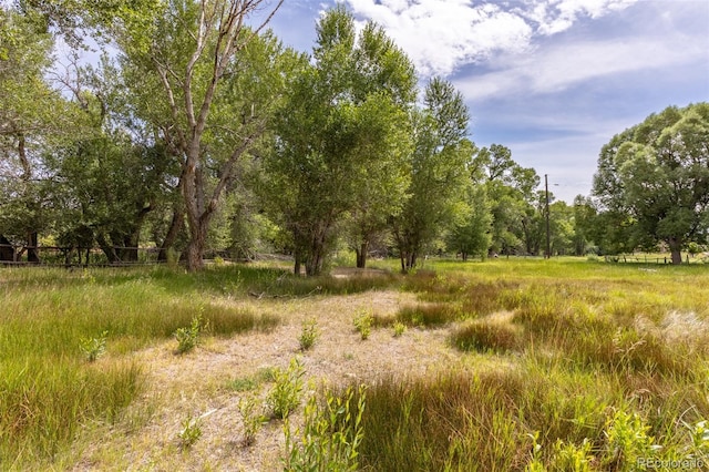 7080 County Road 110, Salida, CO 81201 - photo 29
