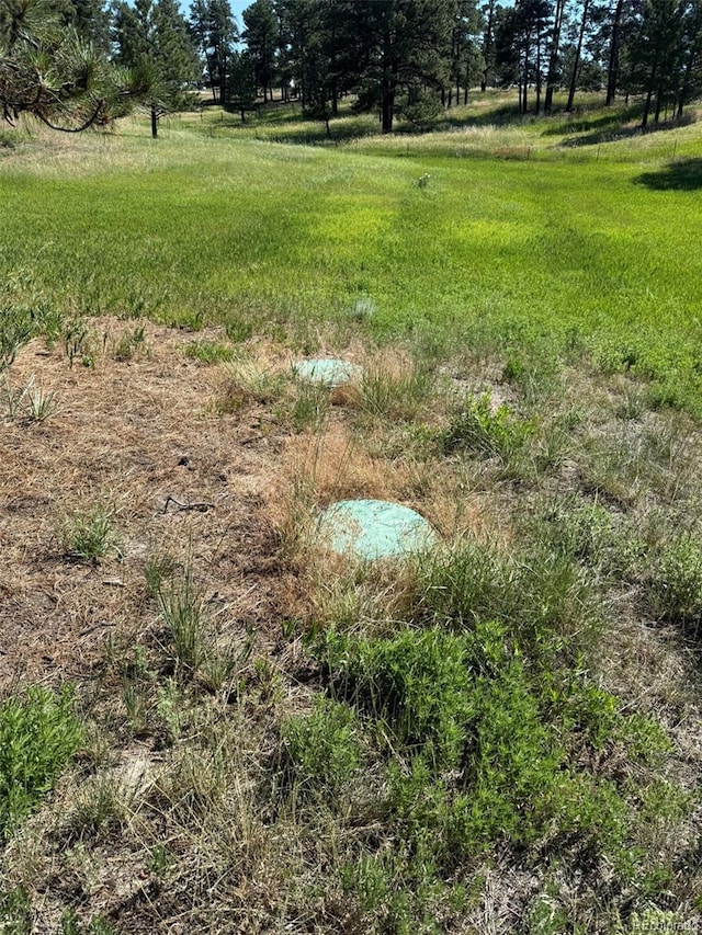 27627 E Broadview Dr, Kiowa, CO 80117 - photo 26