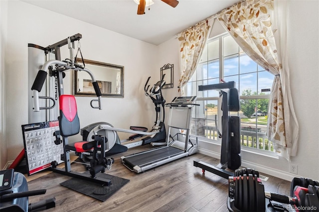 4293 Clover Ln, Brighton, CO 80601 - exercise area featuring wood finished floors, ceiling fan, and baseboards