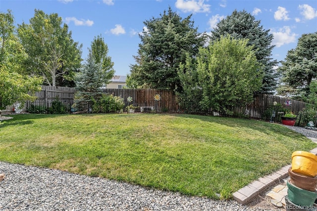 4293 Clover Ln, Brighton, CO 80601 - view of yard
