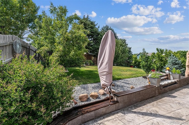 4293 Clover Ln, Brighton, CO 80601 - view of yard