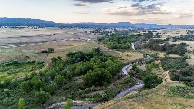 2810 Bartizan Ln, Sedalia, CO 80135 - photo 12