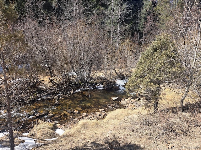 Fall River Rd, Idaho Springs, CO 80452 - photo 1