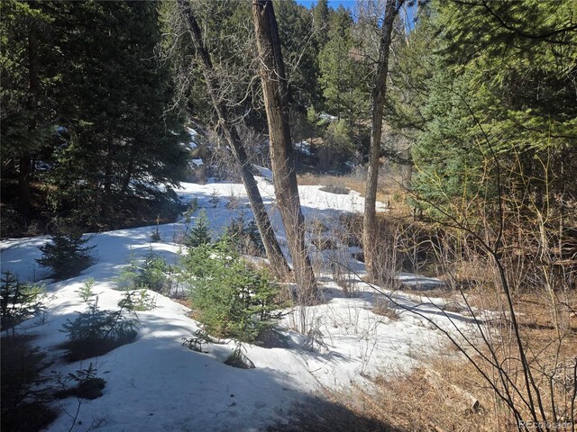 Fall River Rd, Idaho Springs, CO 80452 - photo 4