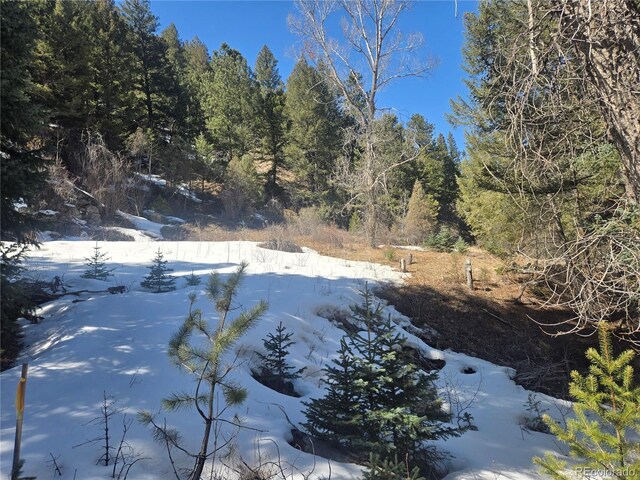 Fall River Rd, Idaho Springs, CO 80452 - photo 5