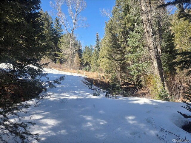 Fall River Rd, Idaho Springs, CO 80452 - photo 6
