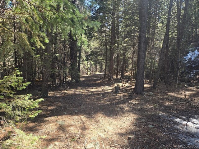 Fall River Rd, Idaho Springs, CO 80452 - photo 8