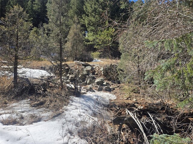 Fall River Rd, Idaho Springs, CO 80452 - photo 10
