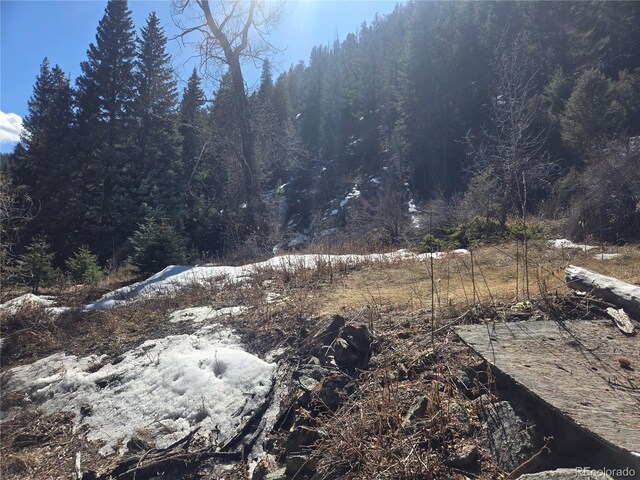 Fall River Rd, Idaho Springs, CO 80452 - photo 12