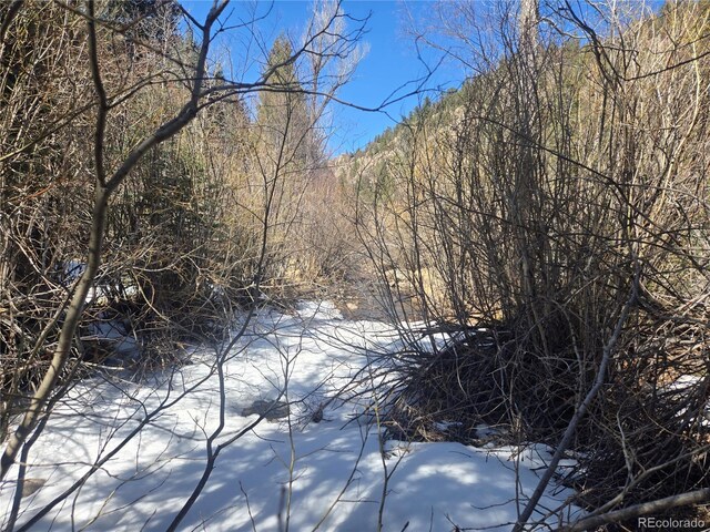 Fall River Rd, Idaho Springs, CO 80452 - photo 14