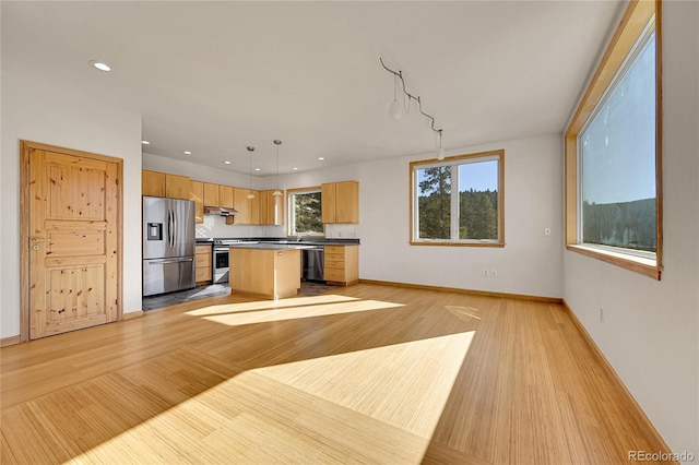 kitchen with decorative light fixtures, light hardwood / wood-style flooring, appliances with stainless steel finishes, and a center island