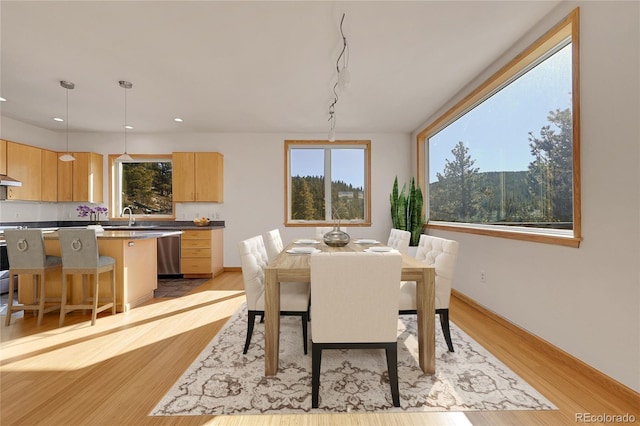 dining space with light wood-type flooring and sink