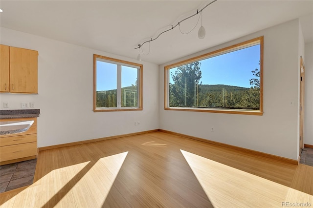 unfurnished dining area featuring a mountain view and light hardwood / wood-style flooring