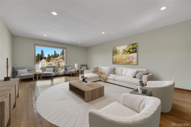 living room with wood-type flooring