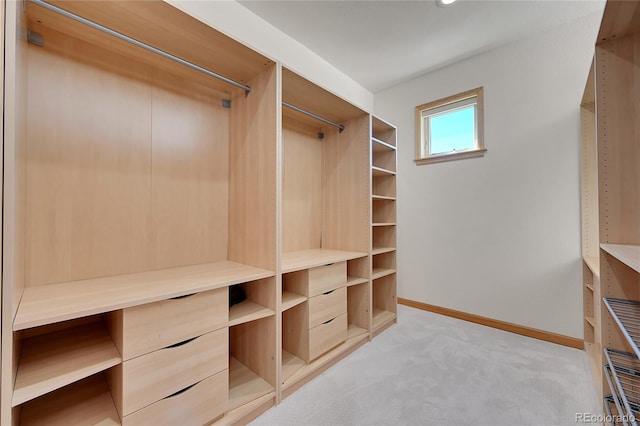 walk in closet featuring light colored carpet