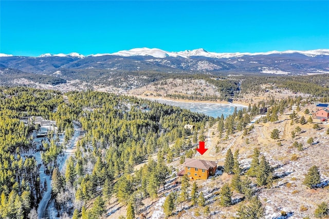 54 Doe Trl, Nederland, CO 80466 - photo 39