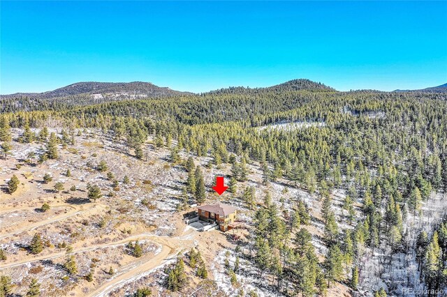 54 Doe Trl, Nederland, CO 80466 - photo 40