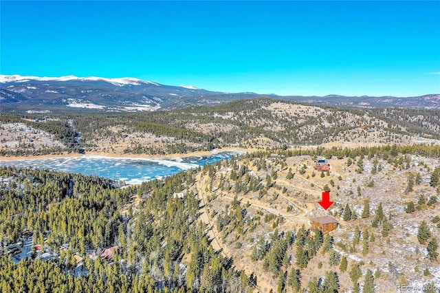 54 Doe Trl, Nederland, CO 80466 - photo 41