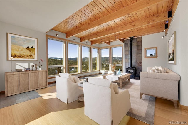 54 Doe Trl, Nederland, CO 80466 - living room with a wood stove, wood ceiling, a mountain view, beamed ceiling, and light wood-style flooring