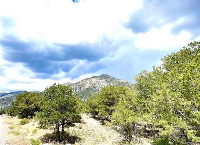 TRACT5PHILLEOANNEX Hemlock St, Crestone, CO 81131