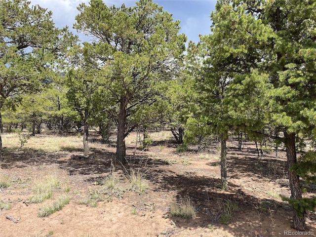 TRACT5PHILLEOANNEX Hemlock St, Crestone, CO 81131