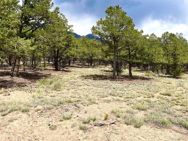 TRACT5PHILLEOANNEX Hemlock St, Crestone, CO 81131