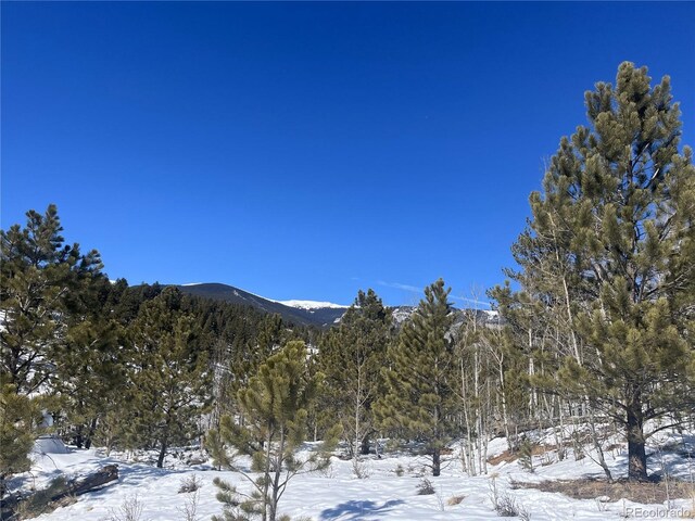 381 Neish St, Bailey, CO 80421