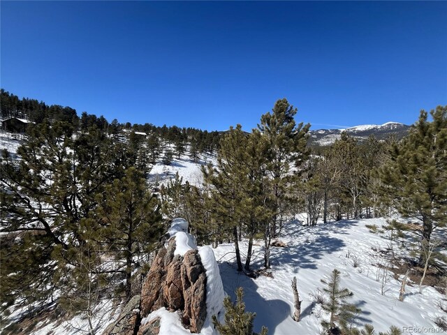 381 Neish St, Bailey, CO 80421
