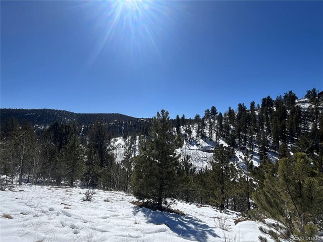 381 Neish St, Bailey, CO 80421