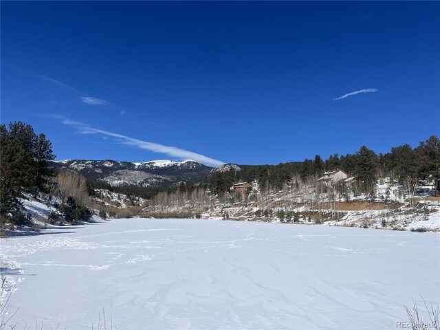 381 Neish St, Bailey, CO 80421
