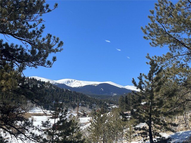 381 Neish St, Bailey, CO 80421