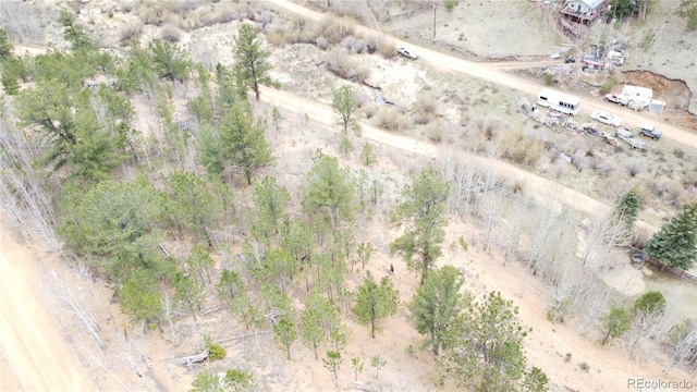 381 Neish St, Bailey, CO 80421