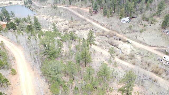 381 Neish St, Bailey, CO 80421