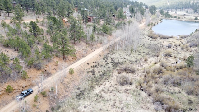 381 Neish St, Bailey, CO 80421