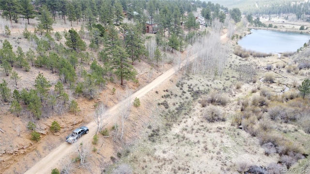 381 Neish St, Bailey, CO 80421