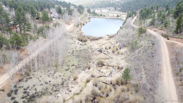 381 Neish St, Bailey, CO 80421
