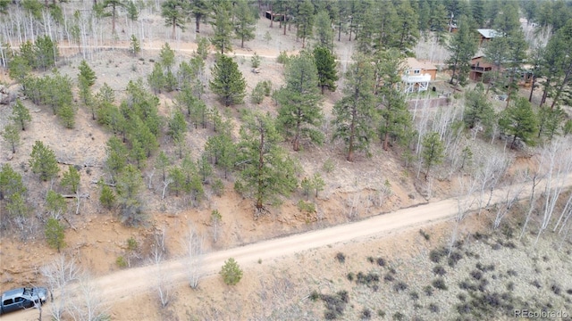 381 Neish St, Bailey, CO 80421