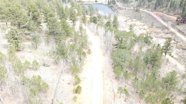 381 Neish St, Bailey, CO 80421